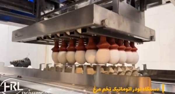 WhatsApp Image 2022-07-31 at 10.06.08 AM (1)